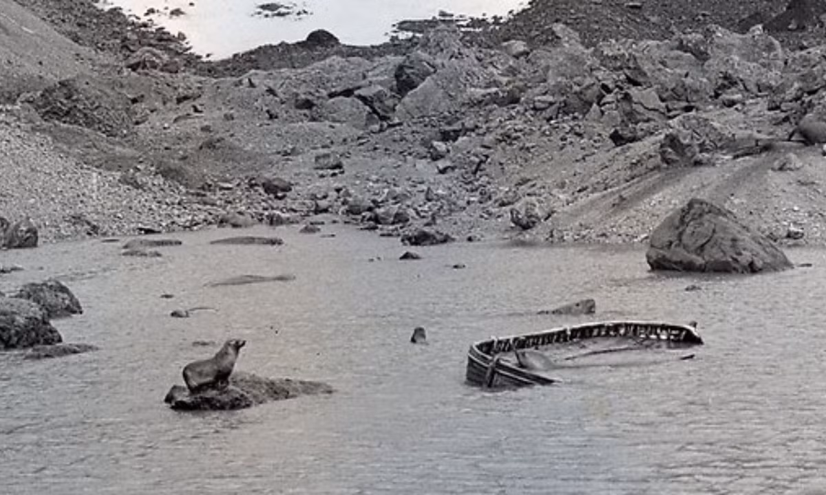 Kết quả kiểm tra hòn đảo không tìm thấy dấu vết của sự sống con người, mặc dù vị trí của chiếc xuồng cho thấy rằng bất kỳ ai ngồi trên đó đều có thể dễ dàng lên đảo Bouvet. (Nguồn: nyheter24.se)