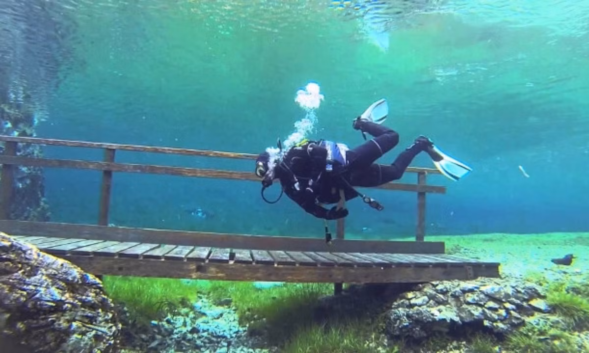5. Thủy cung trên mặt đất: Ở Áo, gần dãy núi Hochschwab công viên Grüner See nổi tiếng với những con đường mòn đi bộ tuyệt đẹp. Nhưng khi mùa xuân đến cả công viên ngập trong nước. Vào mùa đông, công viên được bao phủ bởi một lớp tuyết rất dày. (Nguồn: vtc.vn)