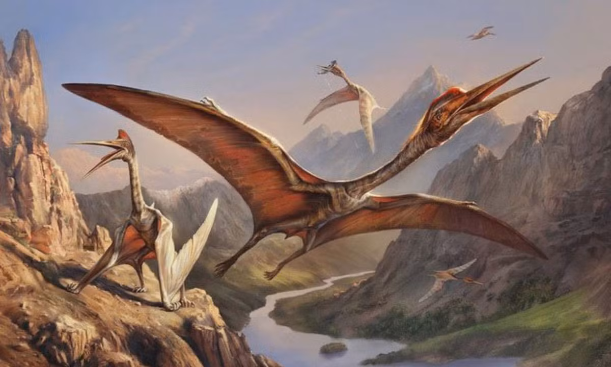 Nếu như Megalodon thống trị dưới nước, thì Quetzalcoatlus được xem là ông vua bầu trời, và ít khi có kẻ địch nào có thể chống lại được. (Nguồn: KhoaHoc.tv)
