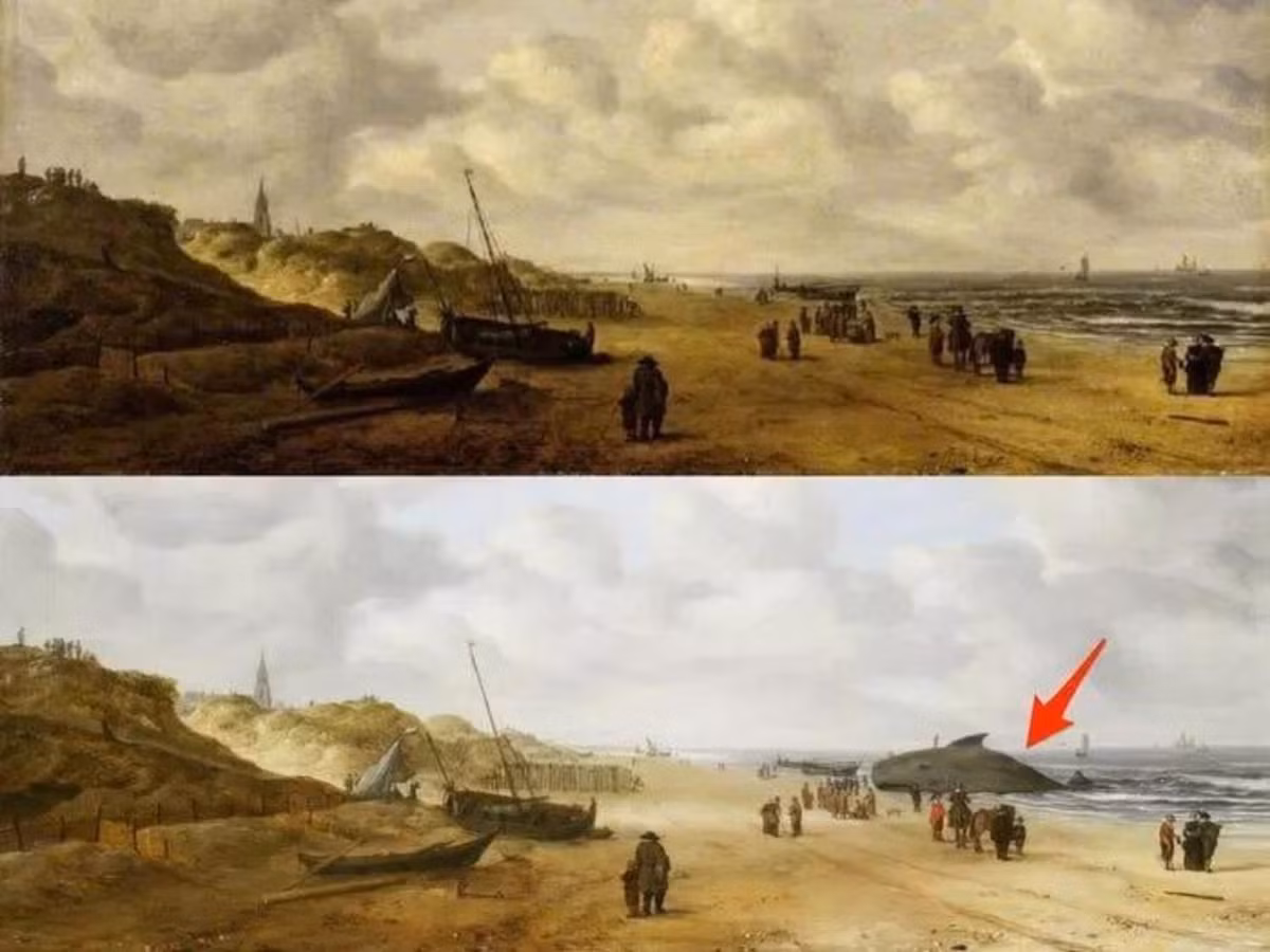 3. Bức tranh “Bãi cát Scheveningen”: Bức tranh được vẽ vào những năm 1600, nhưng trước đây không ai biết những người trong tranh đang tụ tập vì thứ gì. Trong quá trình phục chế tranh tại Bảo tàng Fitzwilliam, vật thể bí ẩn là con cá voi được lộ diện. (Nguồn:dantri.com)