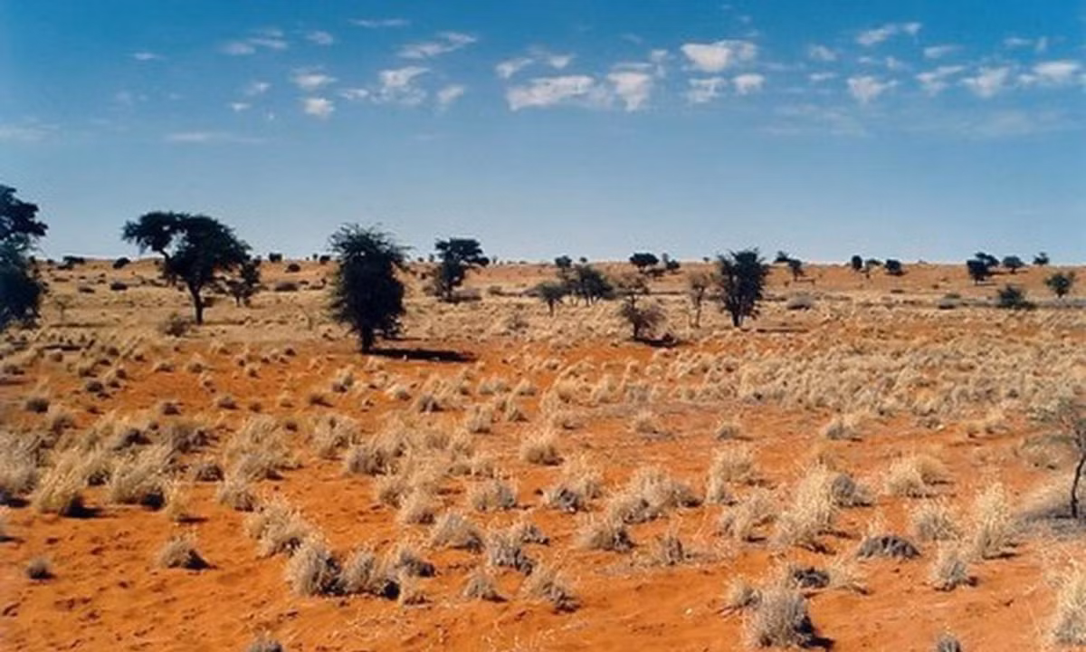 5. Sa mạc Kalahari: có diện tích 930.000 km2, phần lớn diện tích được bao phủ bởi cát nâu đỏ. Sa mạc Kalahari có lượng mưa thấp hơn 500 mm và cũng có nơi chỉ 200 mm/năm. (Nguồn: internet)
