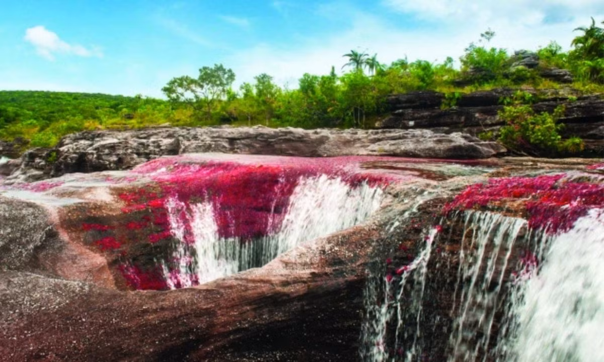 10. Dòng sông 5 màu: vào mỗi mùa hè, dòng sông Cano Cristales tại Colombia lại xuất hiện hiện tượng "dòng sông năm màu". Hiện tượng này có thể quan sát vào khoảng thời gian từ tháng 5. Nguồn: Kênh Thời Tiết.