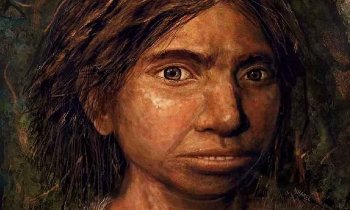 1. Người Denisovans: khoảng 600.000-744.000 năm về trước, một dòng giống mang tên Homo heidellbergensis thuộc chi Người (Homo) bắt đầu phân tách. Một nhóm nhanh chóng tiến hóa thành người Denisovans và người Neanderthals. (Nguồn: Live science)