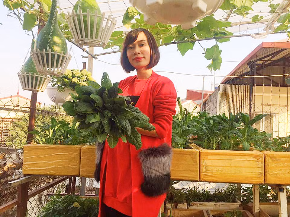 Khu vườn này được chị dựng cách đây hơn một năm, do nhà chị Nhung có một bên là trần xi măng và một bên là trần mái tôn nên khi xác định làm vườn, chị phải nâng cấp bên mái tôn cho vững chắc.
