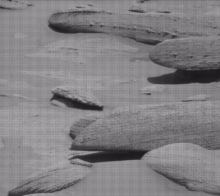 Mới đây, robot tự hành Curiosity Rover thám hiểm miệng núi lửa Gale trên sao Hỏa đã phát hiện và chụp được ảnh một tảng đá kỳ dị trông giống xương hóa thạch động vật. Sau khi xem ảnh, một số người đưa ra giả thuyết đó có thể thực sự thuộc về một loài động vật biển cổ đại. Trong khi đó, Nathalie A. Cabrol, một nhà sinh vật học vũ trụ, cho rằng, gió khắc nghiệt trên Sao Hỏa, kết hợp với dòng chảy mạnh của nước đã khiến tảng đá trông giống một bộ xương hóa thạch.