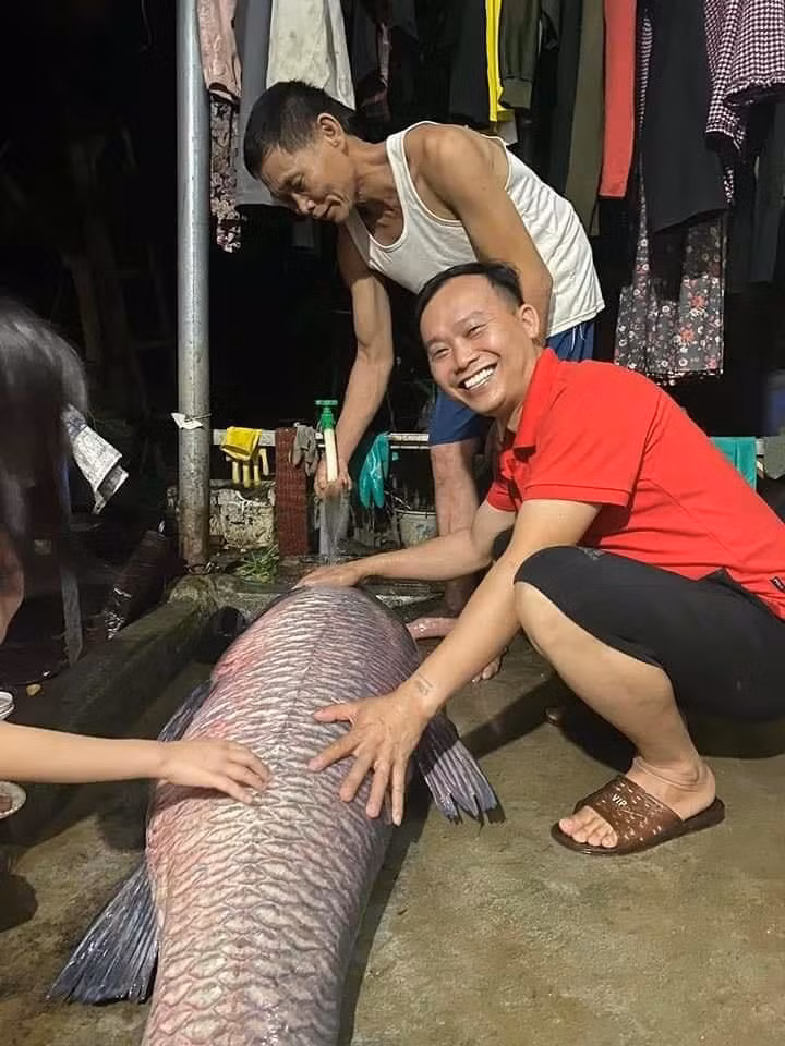 Tối ngày 25/5/2022, ông Bùi Văn Chính ở xã Thịnh Hưng, Yên Bình, Yên Bái, đi đánh lưới ở hồ Thác Bà trên địa bàn xã thì bắt được con cá trắm đen nặng gần 53 kg. Do con cá quá lớn nên ông đã gọi con trai và mọi người ra hỗ trợ để bắt nó mang lên bờ.