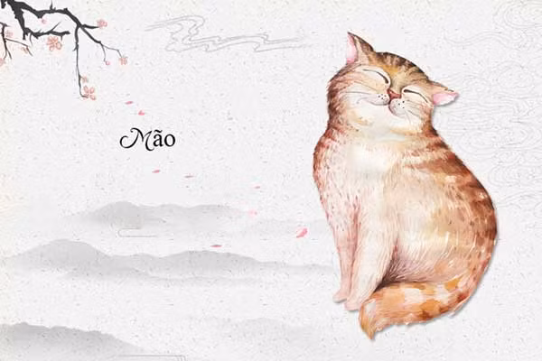 Vận thế ngày 27/12/2023 của người tuổi Mão có sự phát triển. Tình cảm: Cặp đôi quyết định tiến tới hôn nhân và chuẩn bị cho sự kiện trọng đại. Công việc: Con giáp này không ngừng suy nghĩ, tìm kiếm những phương pháp mới để dự án đạt kết quả tốt nhất. Tiền bạc: Người tuổi Mão có tài vận bình thường.