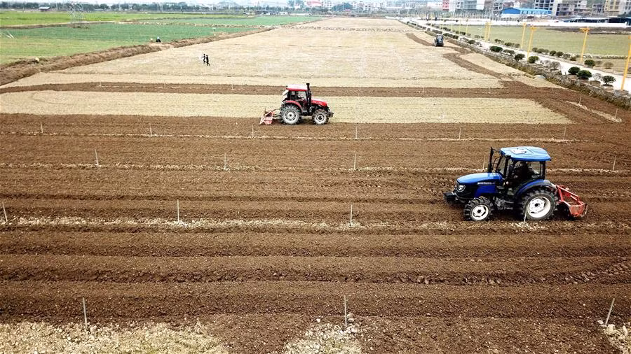 Tuy nhiên, người nông dân đang tích cực lao động sản xuất. Ảnh: Máy cày trên cánh đồng ở Dong Giang, tỉnh Quý Châu, ngày 19/2. 