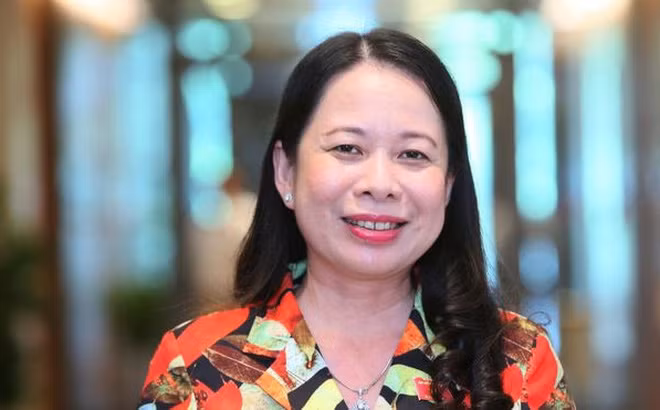 Ba Vo Thi Anh Xuan tai dac cu Pho chu tich nuoc-Hinh-6