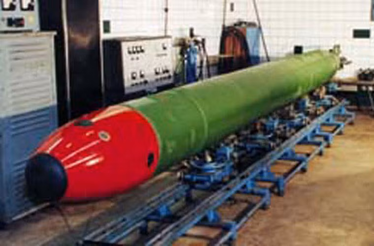 Và 65 quả ngư lôi chống tàu ngầm TEST-71 dài 7,8m, lắp đầu nổ nặng 205kg, đạt tầm bắn 20km, tốc độ tối đa 40 hải lý/h, hệ thống tự dẫn có thể phát hiện mục tiêu cách 1,5km.