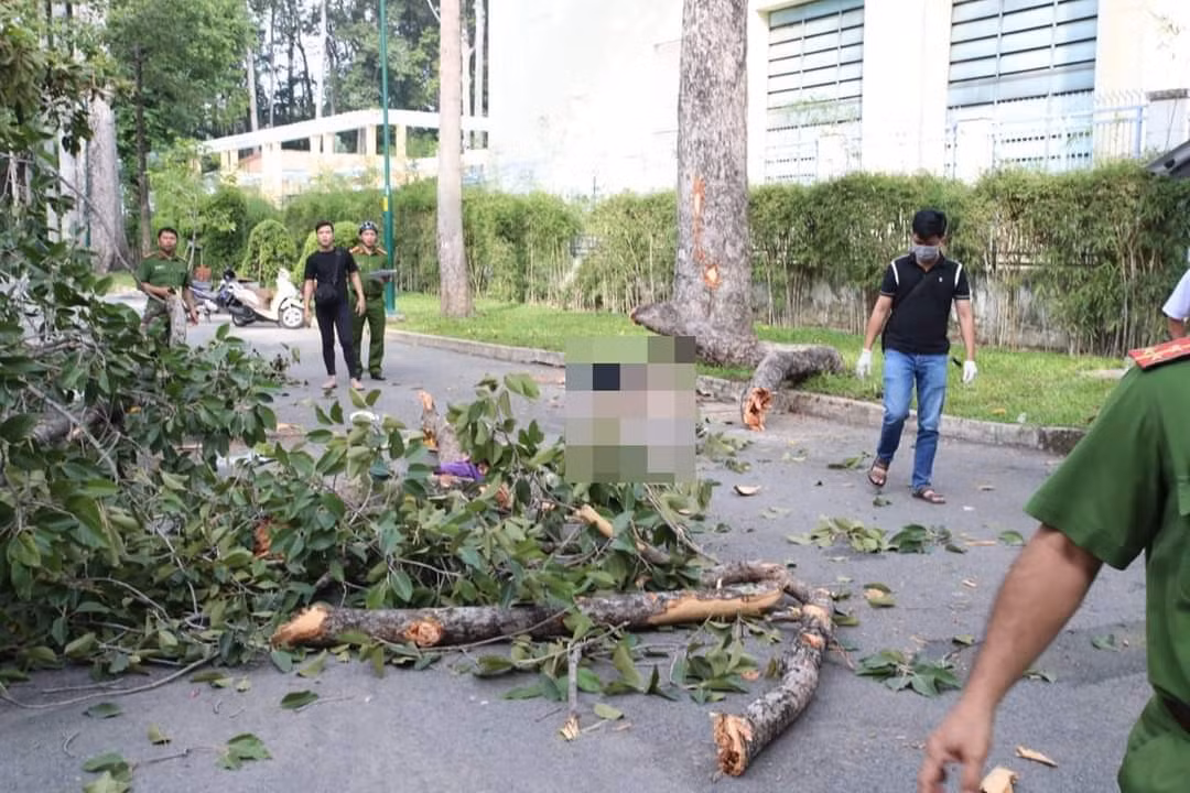 Nhánh cây gãy khiến 5 người thương vong: Ai chịu trách nhiệm? Nhanh cay gay khien 5 nguoi thuong vong: Ai chiu trach nhiem?