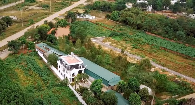 Vuon cay gia tri trong biet thu tien ty cua nghe si Quang Teo