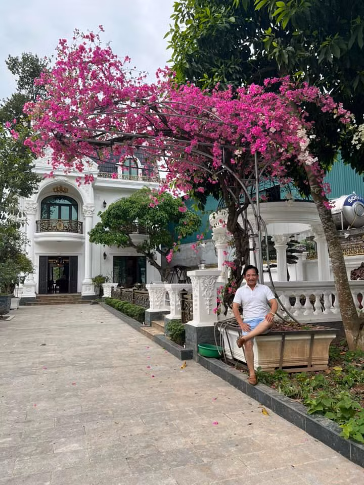 Đặc biệt, khu vườn nhà nghệ sĩ Quang Tèo còn có nhiều cây hoa giấy lớn. Ảnh: FBNV
