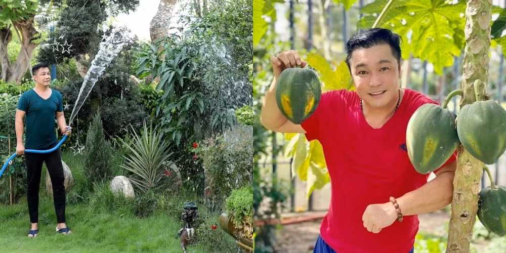 Trong khuôn viên biệt thự, Lý Hùng thiết kế một khu vườn mini trồng nhiều cây cảnh và cây ăn quả. Ảnh: FBNV