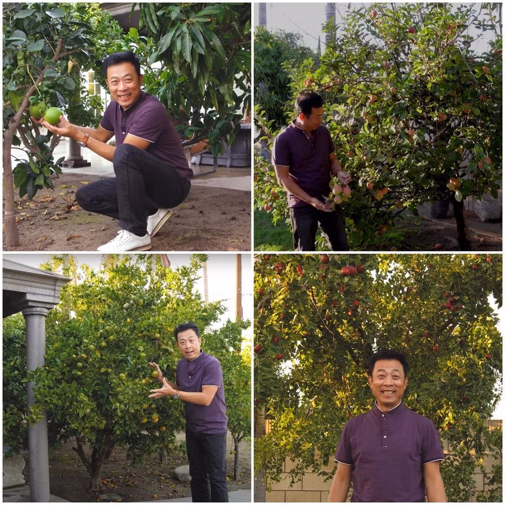 Mỗi lần chia sẻ về khu vườn, danh hài Vân Sơn đều tràn đầy năng lượng.