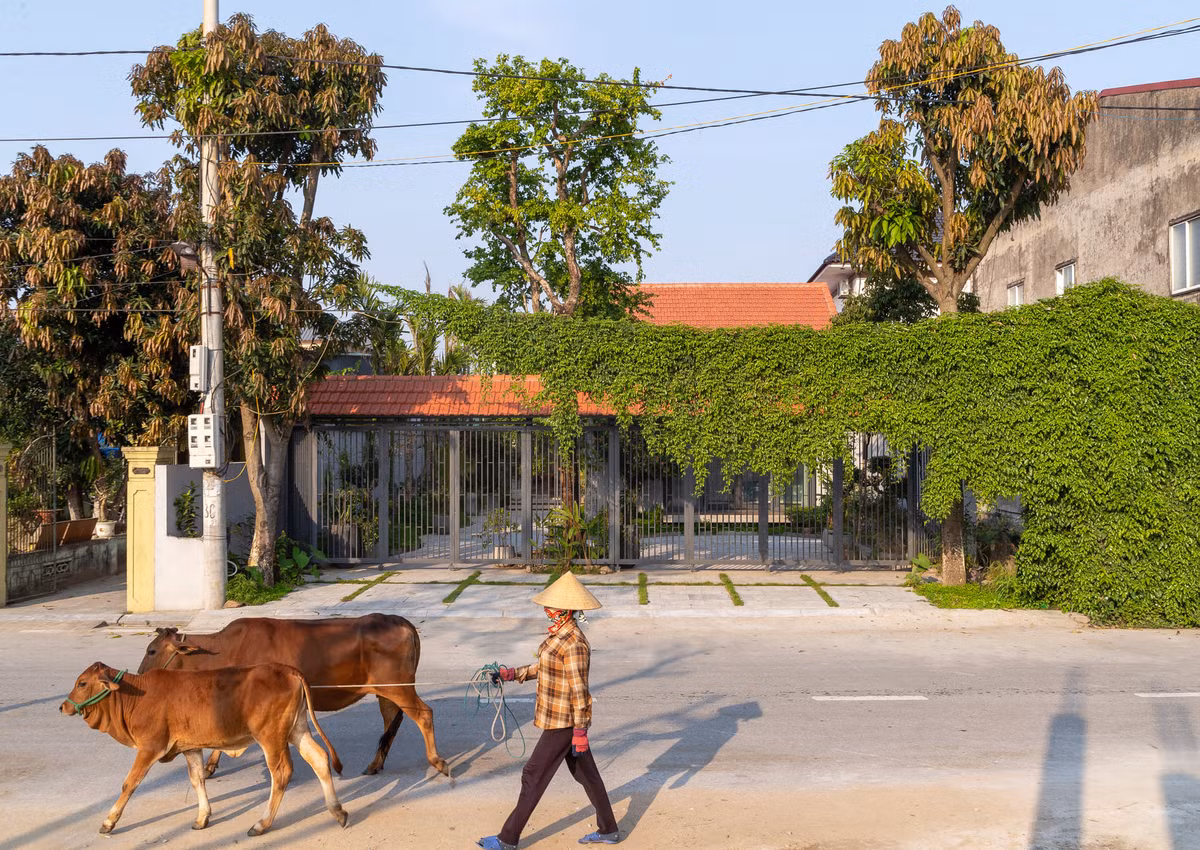 Do nằm tiếp giáp với khu đô thị mới nên căn nhà được hưởng lợi nhiều tiện ích như công viên, cây xanh, gió mát bên dòng sông Lam. Trái lại, nhược điểm là khu đất hướng chính Tây, có thời gian hứng nắng dài trong ngày.