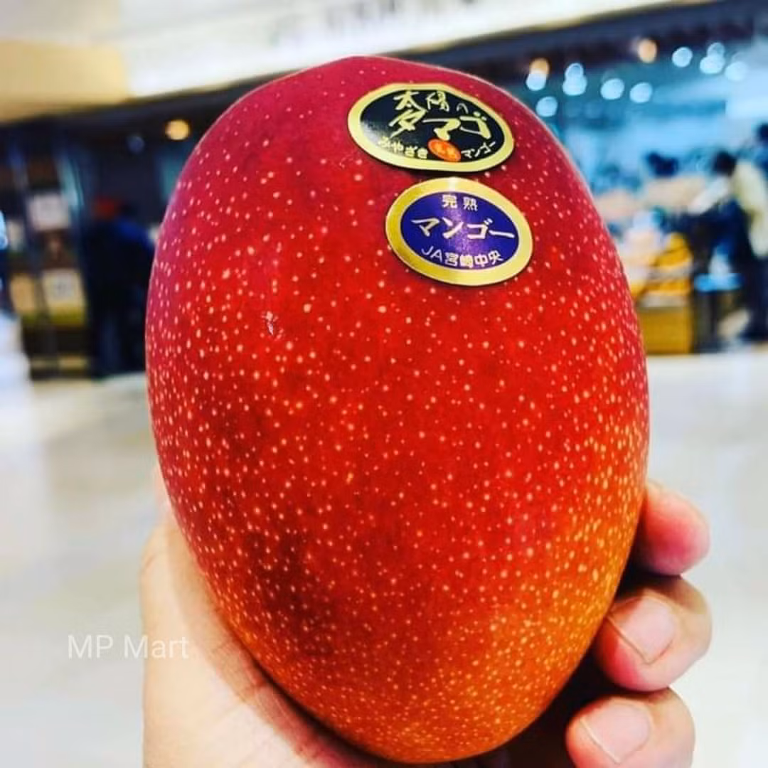 Mỗi trái xoài Ruby có trọng lượng lên tới hơn 320g. Ảnh; MP Food