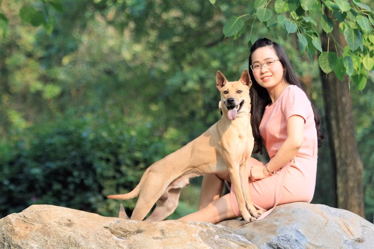Bắt đầu tìm hiểu về chó Phú Quốc từ năm 2009, sau hơn 10 năm, chị Hà đang sở hữu 5 trang trại lớn nhỏ ở Hà Nội với hơn 100 cá thể chó Phú Quốc. Anh: FB Le Ha