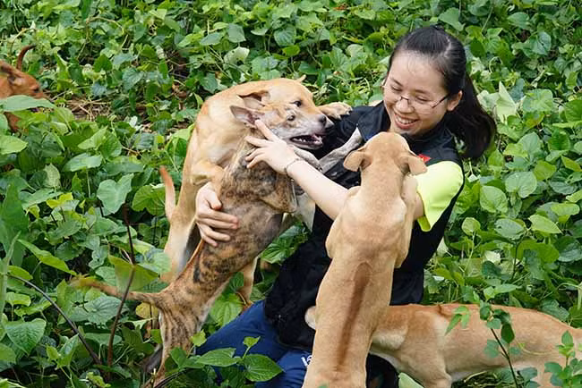 Can canh trang trai cho Phu Quoc bac ty cua 8X Ha thanh