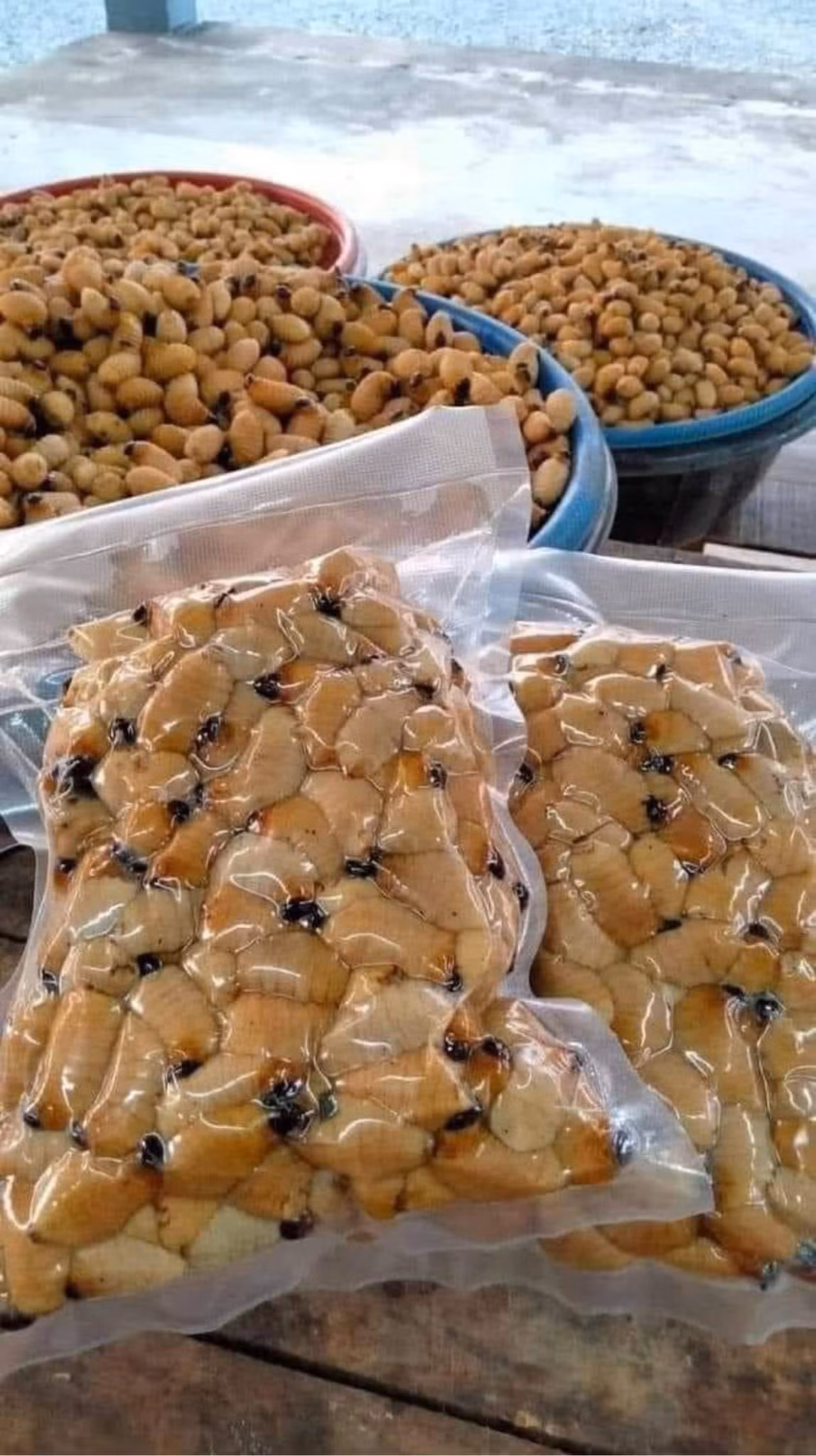 Thế nhưng, nhộng cọ là đặc sản hiếm có giá cao ngất ngưởng, lên tới 350.000 đồng/kg. Ảnh: Facebook