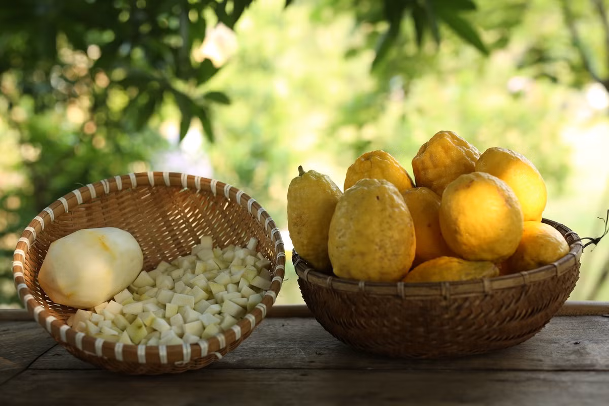 Nhận thấy chanh vàng là một trong những loại trái cây được nhiều người tìm mua, anh Nguyễn Thanh Sơn (Long Biên, Hà Nội) quyết định đặt mua giống cây từ nước ngoài về cách đây khoảng 6 năm. Ảnh: ThanhSon Garden
