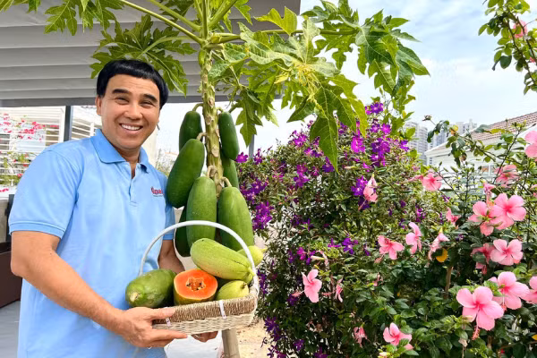 Khu vườn nhà MC Quyền Linh còn có đủ các loại trái cây như đu đủ, chanh, ổi, cà chua...Ảnh: FB Quyền Linh