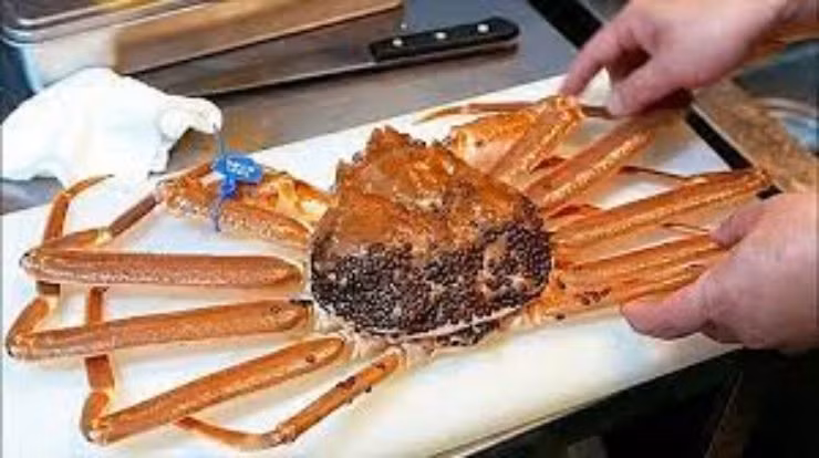 Người sở hữu con cua cho biết họ sẽ bán cua tuyết lại cho một nhà hàng ngay khu mua sắm Ginza tại Tokyo, mức giá không được tiết lộ.