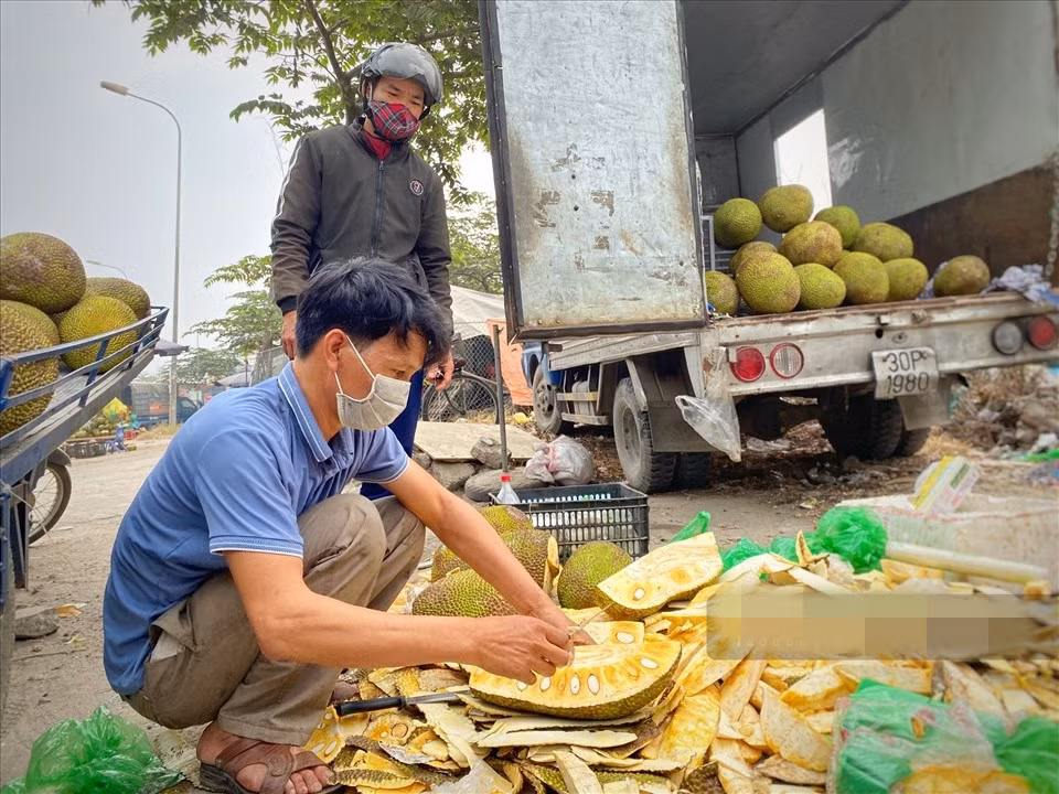 Theo đó, mỗi quả mít "giải cứu" đều được bán đồng giá từ 70.000 - 100.000 đồng/quả. Ảnh: Lao động