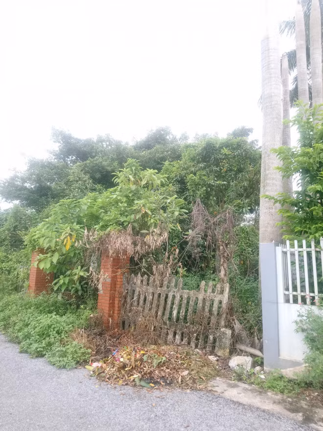Sau này,Việt Anh vay mượn thêm mua một căn hộ ở cửa ngõ thủ đô rồi đưa bố mẹ về, kết thúc 8 năm gia đình chia cắt. Ảnh: Tiền phong