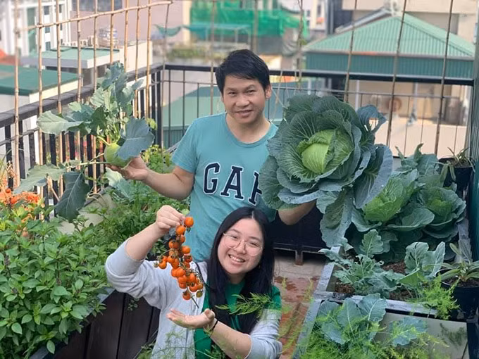 Bắp cải, cà chua, su hào xanh non mơn mởn.