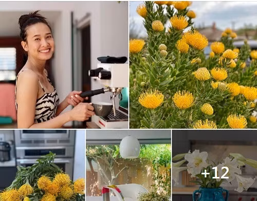 Mới đây, trên trang cá nhân, Hoa hậu Dương Mỹ Linh chia sẻ hình ảnh những đóa hoa trong vườn nhà đang nở bung trong tiết trời tháng 4 mát mẻ.
