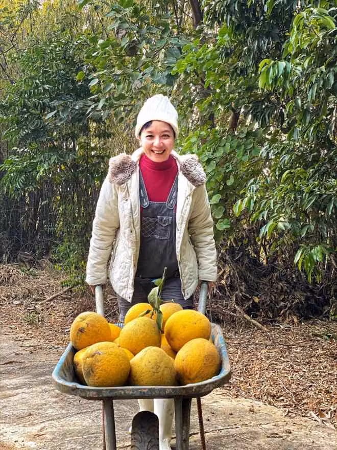 Nữ nghệ sĩ dùng cả xe đẩy để chở bưởi. Ảnh: Lao động