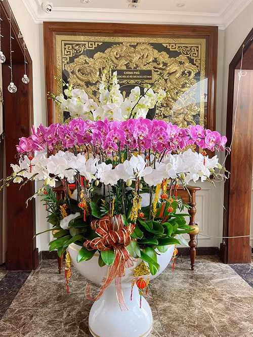 Với số lượng chậu hoa lớn trong nhà, chưa kể ngoài sân vườn, gia đình Bảo Thy thuê người để chăm sóc đúng kỹ thuật sao cho hoa tươi lâu, nở đẹp. Ảnh: FBNV