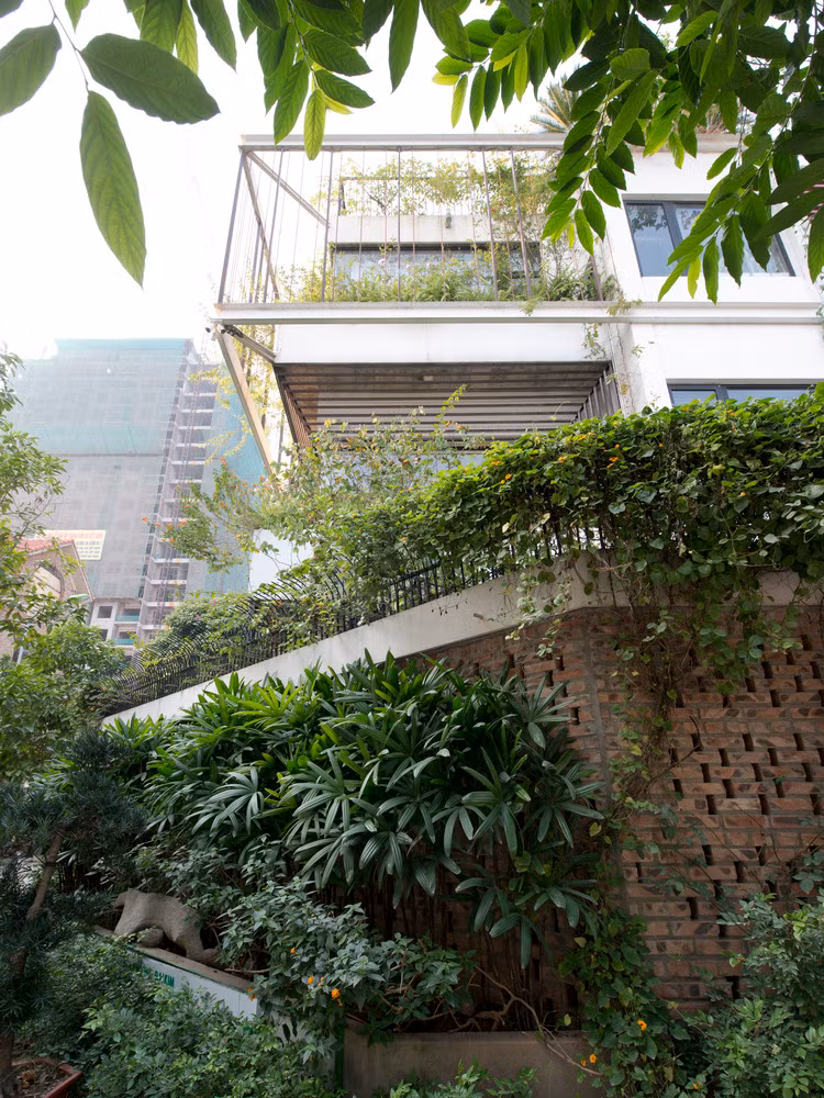 Đặc biệt, bất cứ đâu trong ngôi nhà, gia chủ có thể cảm nhận mùi thơm từ cây Mộc trồng giữa nhà. Nguồn ảnh: Archdaily