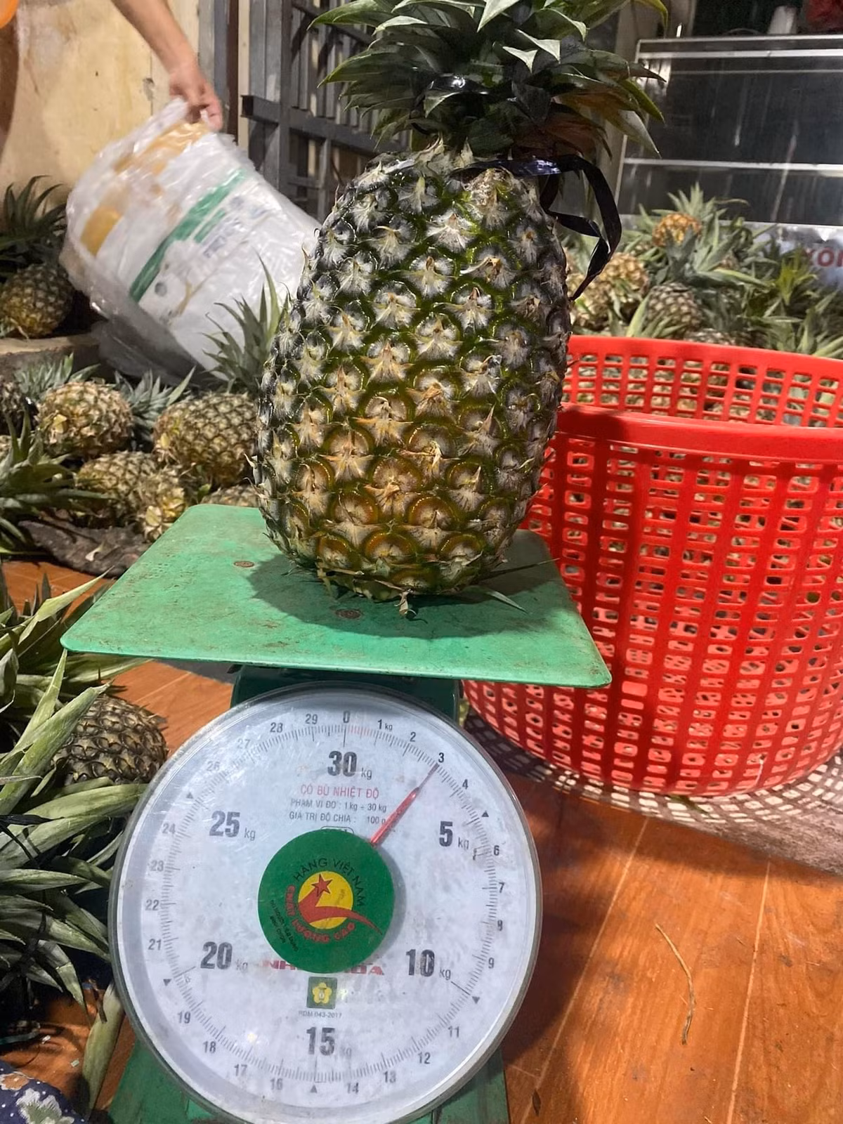 Tò mò, chị đặt mua thử 2 quả về ép nước. Chị Trang bất ngờ khi 1 quả dứa nặng tới 2kg, có quả 3kg, gấp 4 - 5 lần loại dứa chị thường mua trước đây.