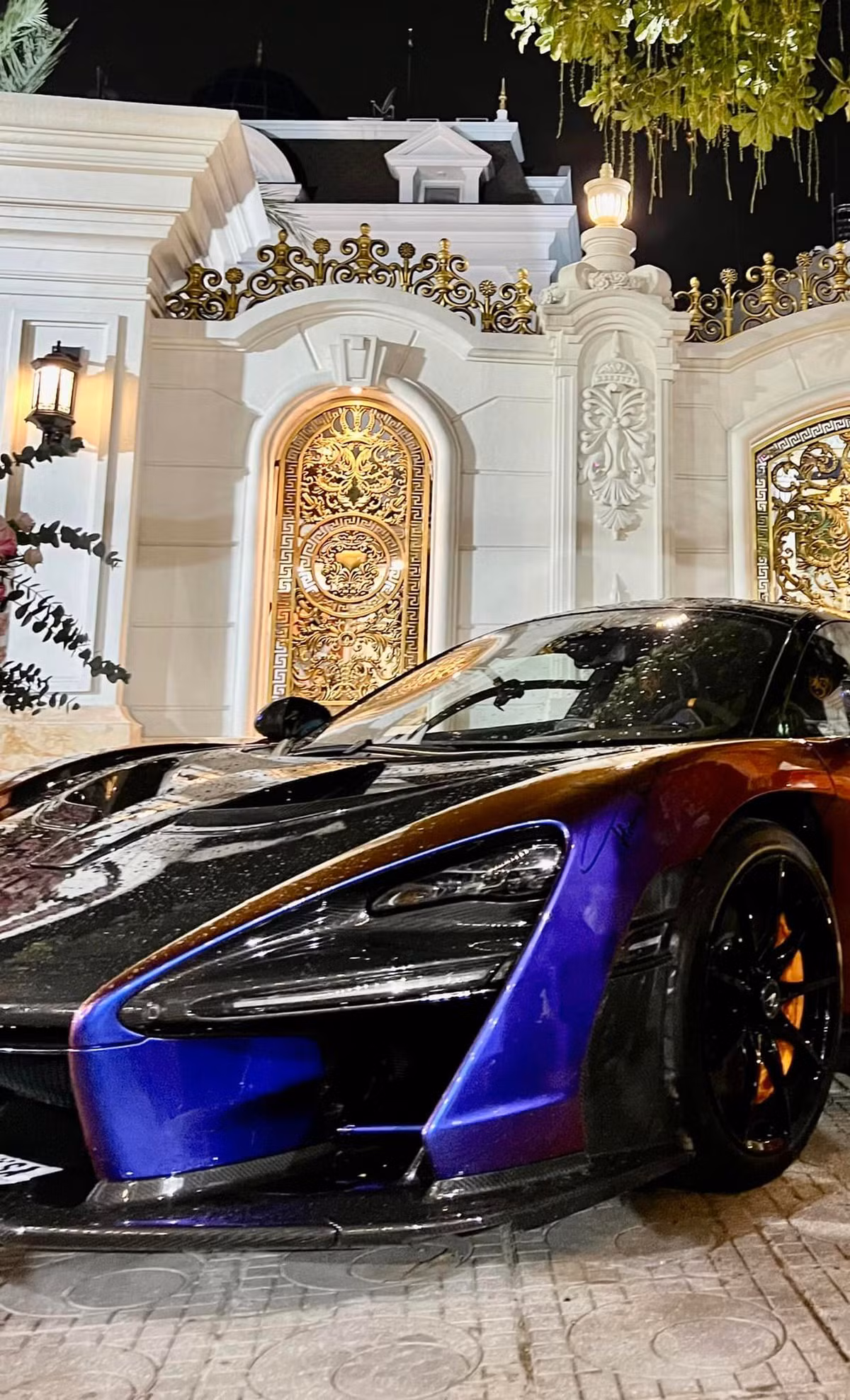 Mọi người không khỏi trầm trồ trước sự xa hoa của căn biệt thự tựa như cung điện của vợ chồng doanh nhân này.
