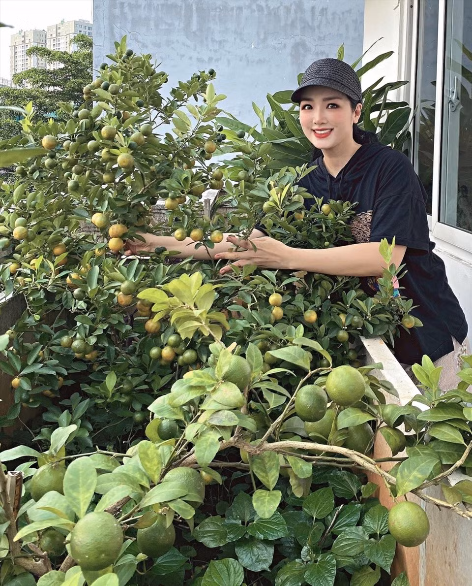 Đặc biệt, căn nhà còn có một khu vườn rộng 200m2. Hoa hậu Giáng My mất nhiều thời gian để thiết kế vườn rau sạch.