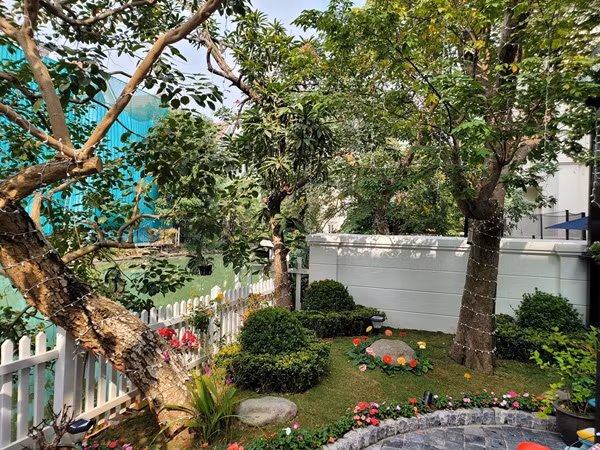 Khu vườn khá rộng, trồng nhiều loại cây xanh quý.