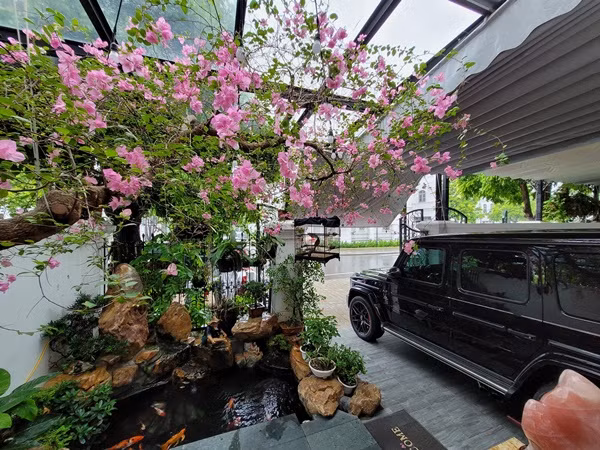Khoảng sân nhỏ trước nhà cũng được ca sĩ Tuấn Hưng tô điểm bằng hồ cá và nhiều cây cảnh.