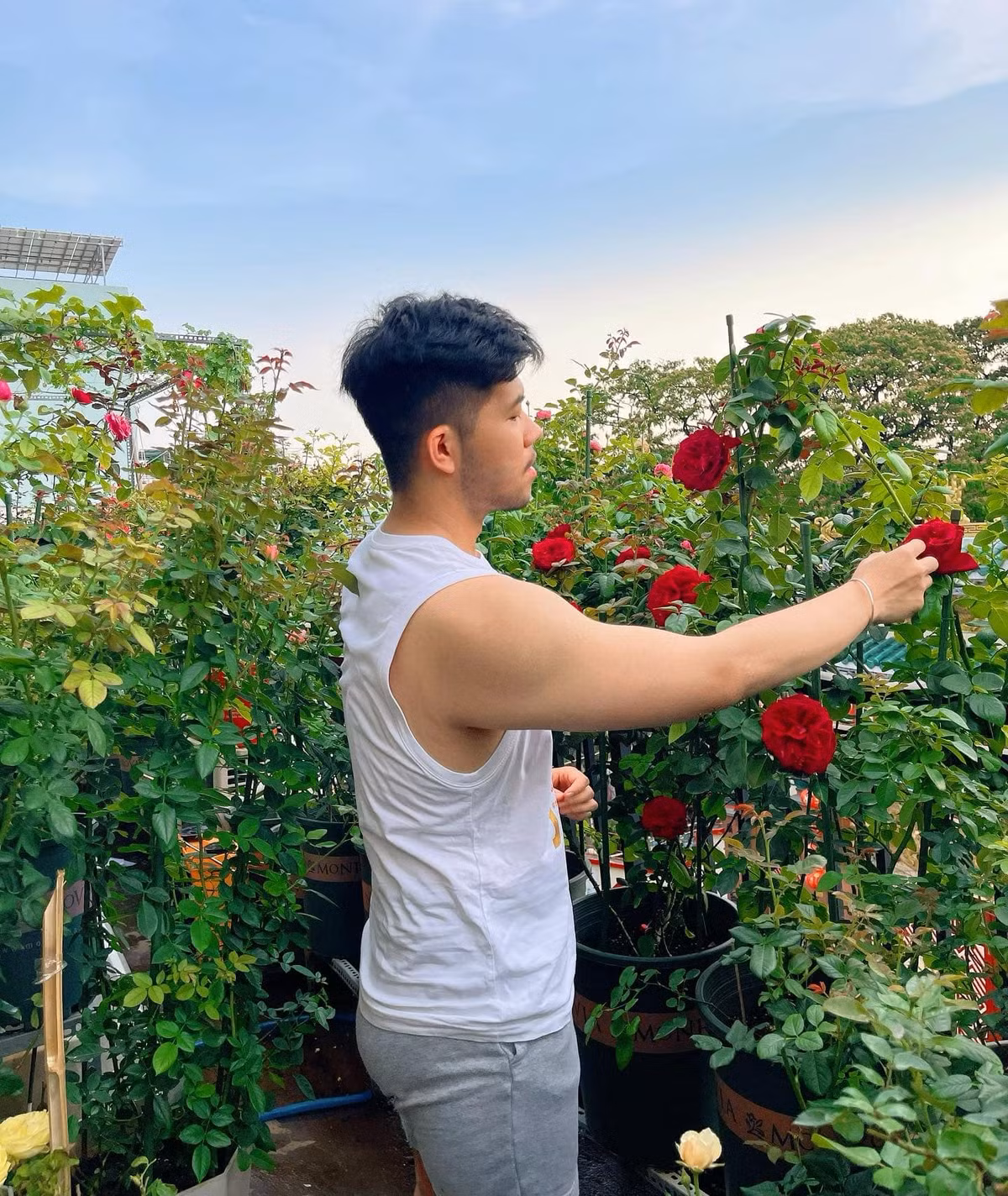 Chàng trai trẻ cắt lá sâu cho hoa.
