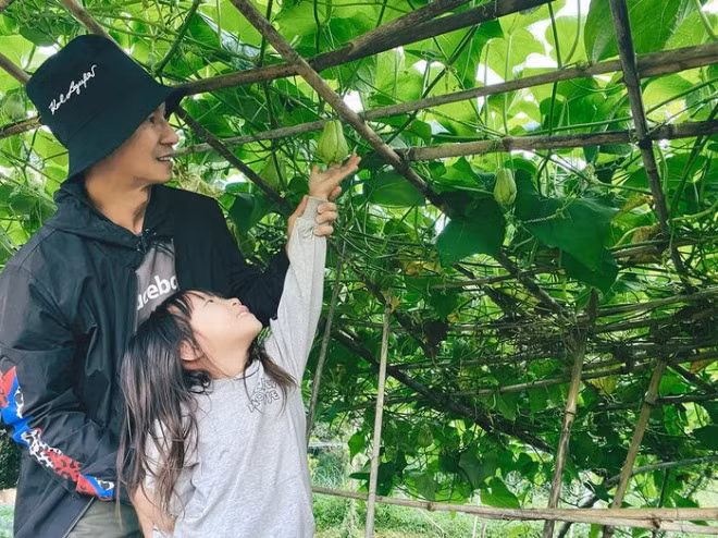Ngoài hoa, vợ chồng Lý Hải - Minh Hà còn trồng rất nhiều rau củ quả và cây ăn trái.