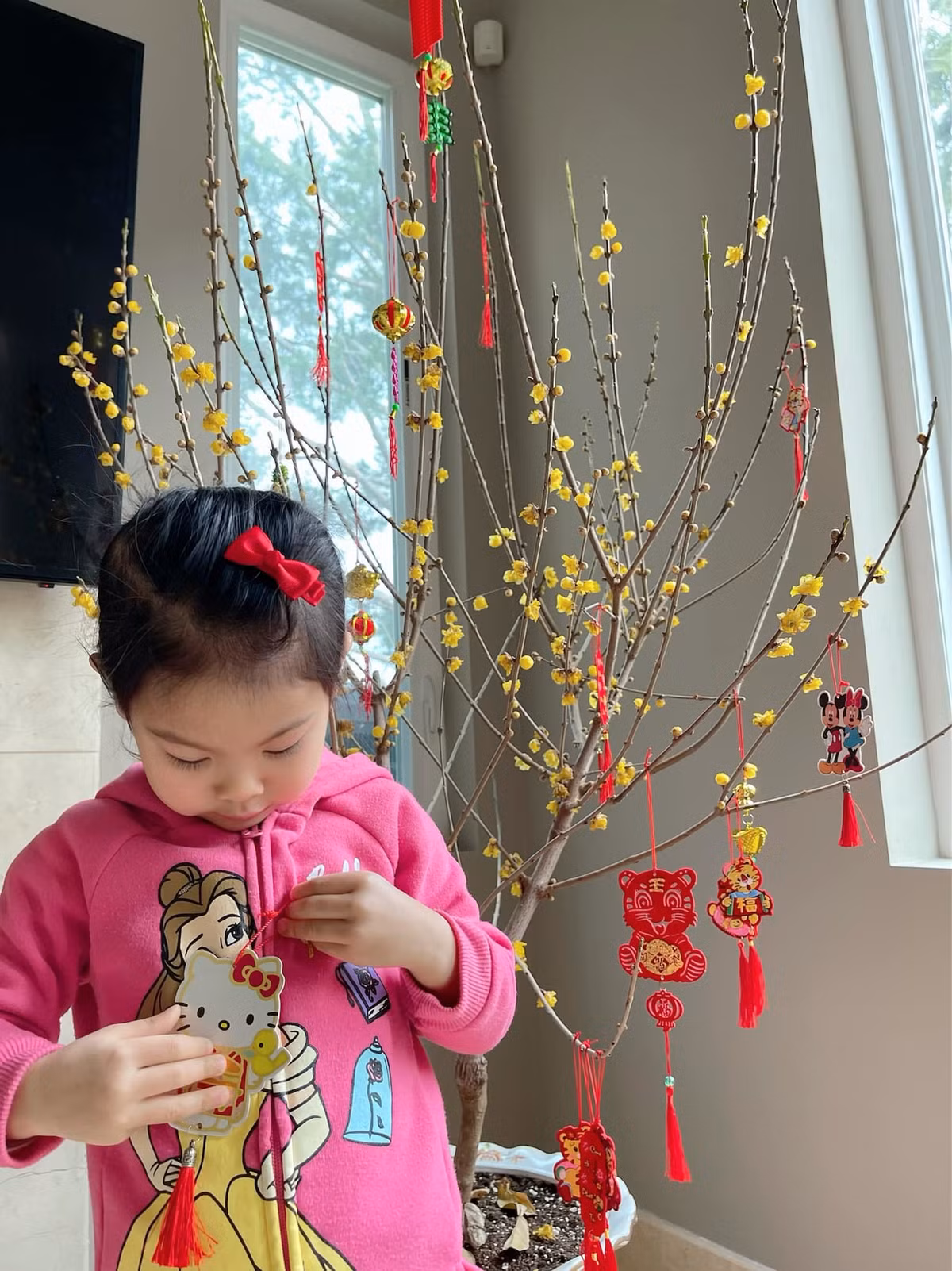Nữ ca sĩ đặt mua các chậu mai, đào, lan, cúc về trang trí nhà để có không khí Tết.