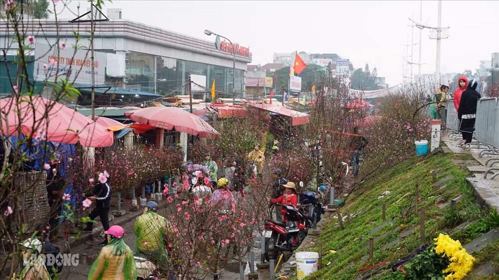 Chợ hoa Quảng Bá là một trong những chợ hoa đầu mối lớn nhất Hà Nội, thường họp từ khoảng 3h - 7h sáng. Những ngày cận Tết Nguyên đán, khu chợ ven đường Âu Cơ luôn tấp nập cả ngày lẫn đêm. Ảnh: Lao động
