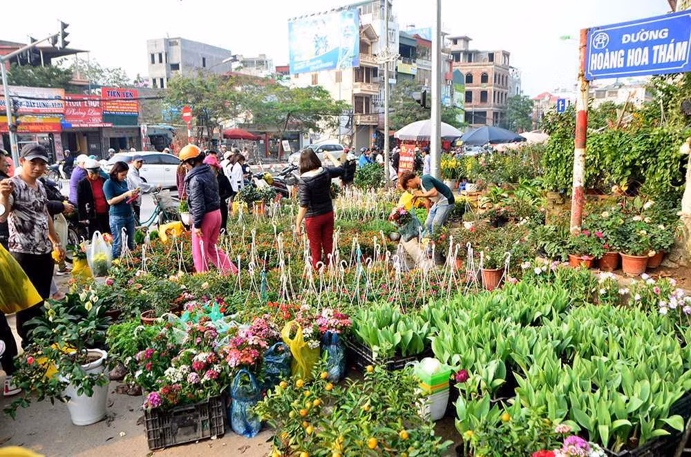 Chợ hoa ở đây họp quanh năm nhưng nhộn nhịp nhất là những ngày giáp tết. Đây là một chợ hoa rực rỡ sắc màu, thơm ngát mùi hương của hàng ngàn loài hoa khác nhau với giá khá rẻ. Ảnh: VTCNews