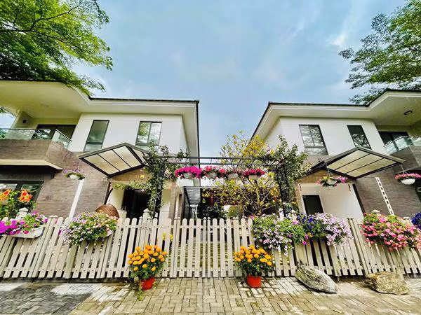 Vào dịp Tết, diễn viên Nhật Kim Anh mạnh tay chi tiền tậu nhiều chậu hoa tươi đặt xung quanh nhà. Ảnh: FBNV