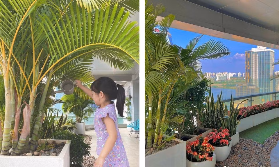 Đặng Thu Thảo trồng nhiều loại cây cảnh kết hợp hoa trong sân vườn. Ảnh; FBNV