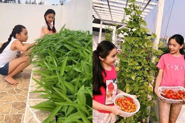 Hai công chúa Lọ Lem và Hạt Dẻ khi có thời gian rảnh cũng phụ giúp ba mẹ chăm sóc vườn cây và thu hoạch trái.