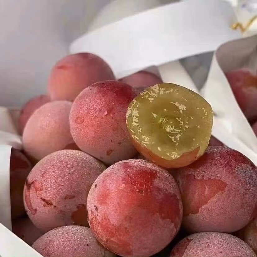 Chị Giang (Long Biên, Hà Nội) chia sẻ: "Tôi biết nho Roby Roman Nhật Bản từ lâu nhưng chưa từng được thử vì giá quá đắt. Gần đây, thấy có loại nho này xuất xứ ở Đài Loan có giá rẻ hơn nên tôi mua thử xem giống nho đắt nhất thế giới có mùi vị như thế nào". Ảnh: Facebook