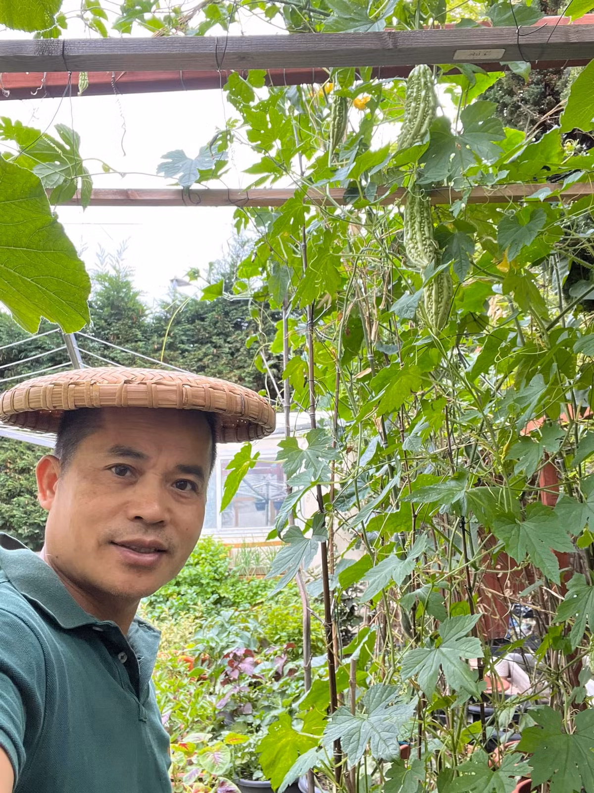 Với hơn 100 loại rau và 500 thùng di động, anh Vinh gần như không phải đi chợ mua rau.