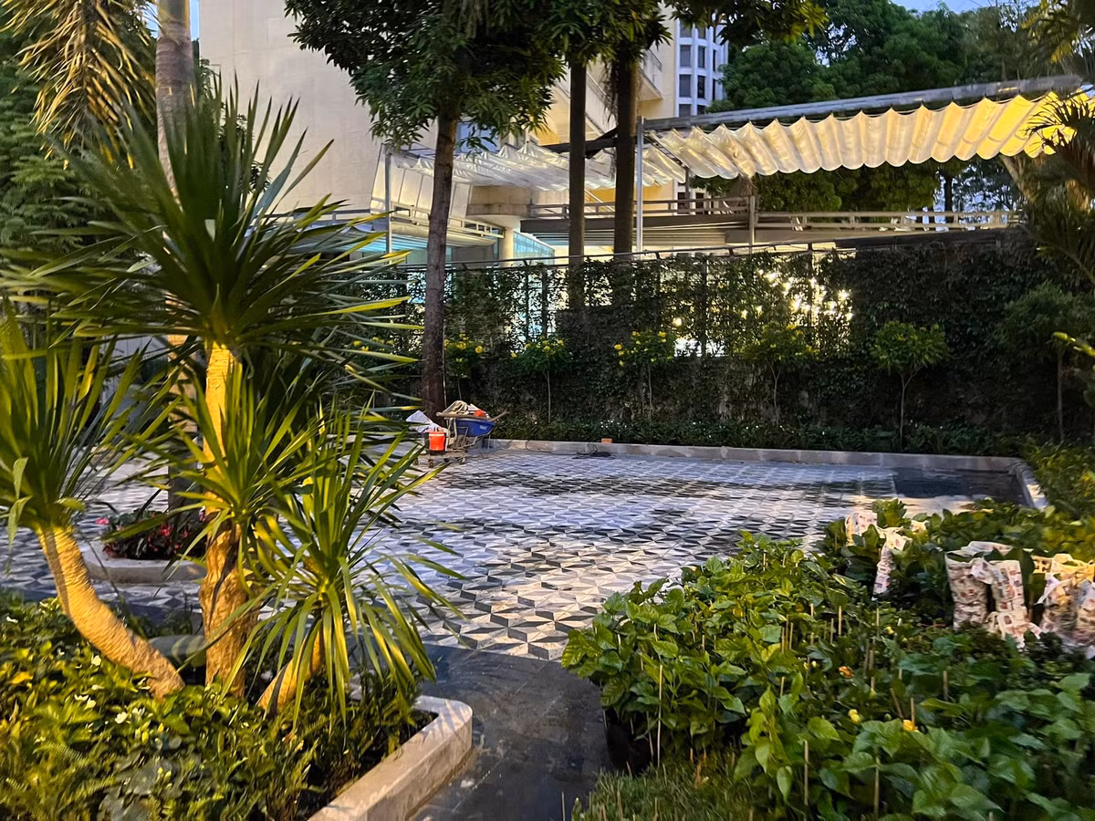 Một góc sân đầy màu xanh trong cơ ngơi của vợ chồng Chi Bảo. Ảnh: FBNV